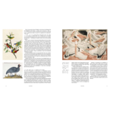 Vogels - De veranderende kijk op vogels in de kunst