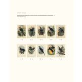 Paradijsvogels in cultuur en natuur - De mooiste afbeeldingen uit Birds of Paradise (1891-1898) van Richard Bowdler Sharpe