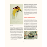 Paradijsvogels in cultuur en natuur - De mooiste afbeeldingen uit Birds of Paradise (1891-1898) van Richard Bowdler Sharpe