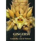Gingers of Cambodia, Laos & Vietnam