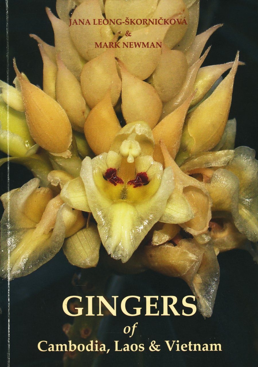 Gingers of Cambodia, Laos & Vietnam