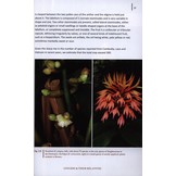 Gingers of Cambodia, Laos & Vietnam