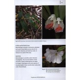 Gingers of Cambodia, Laos & Vietnam