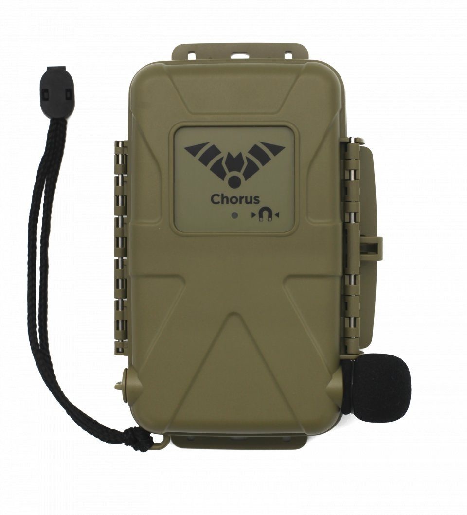 Titley Chorus Acoustic