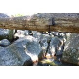 Titley Chorus Akustisch