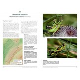 Atlas des Sauterelles, Grillons et Criquets de Franche-Comté