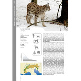 Les Mammifères des Alpes - Les reconnaître, les observer