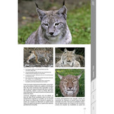 Les Mammifères des Alpes - Les reconnaître, les observer