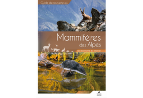 Les Mammifères des Alpes