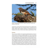 The Wryneck - Biology, Behaviour, Conservation and Symbolism of Jynx torquilla