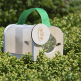Insektenbeobachtungsbox