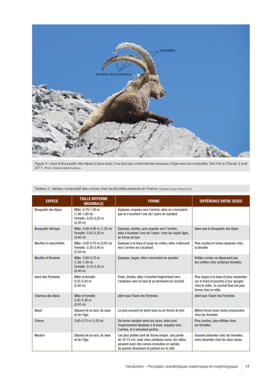 Atlas des Mammifères Sauvages de France Volume 2 - Ongulés et Lagomorphes