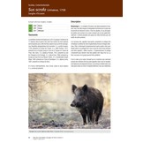 Atlas des Mammifères Sauvages de France Volume 2 - Ongulés et Lagomorphes