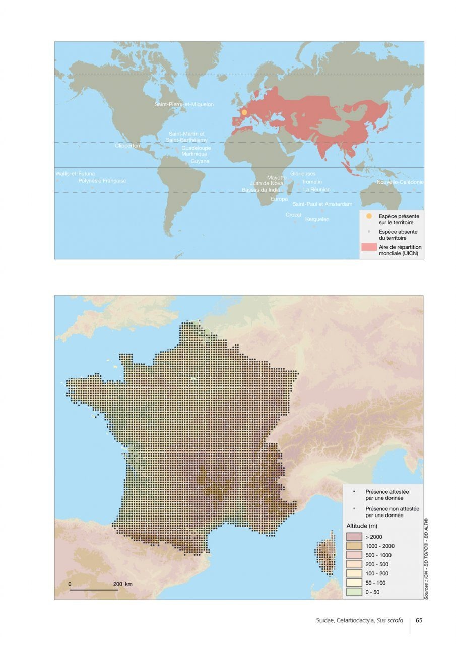 Atlas des Mammifères Sauvages de France Volume 2 - Ongulés et Lagomorphes