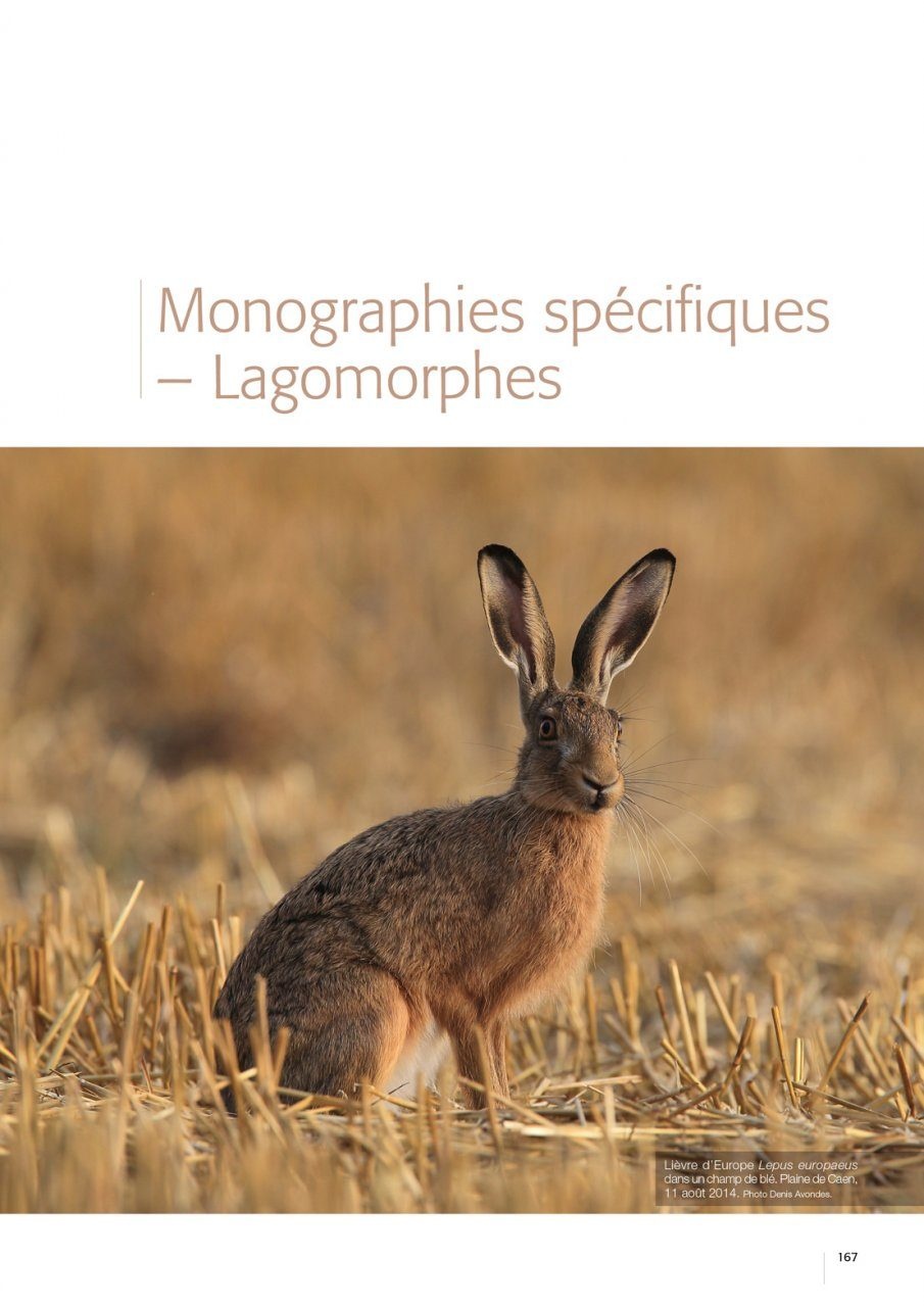 Atlas des Mammifères Sauvages de France Volume 2 - Ongulés et Lagomorphes