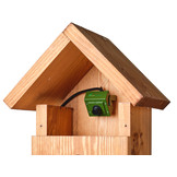 Green Feathers Handmade Wooden Bird Box Large