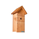 Green Feathers Handmade Wooden Bird Box Large