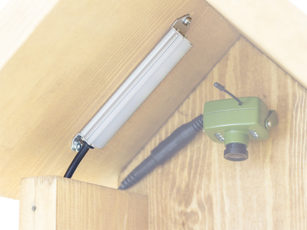 Led Daglichtlamp voor Vogelkasten