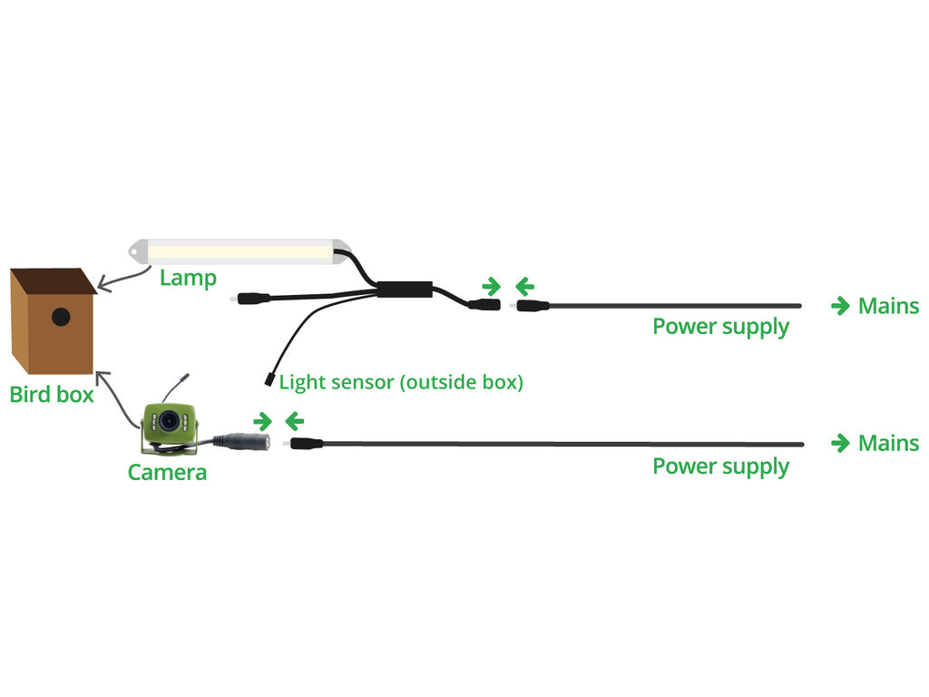 Daytime LED Lamp for Bird Boxes