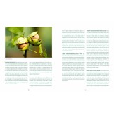 Voedselbosrand - Boslandbouw, eetbare bomen en planten in rijen en randen