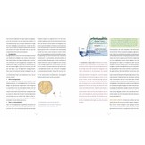 Voedselbosrand - Boslandbouw, eetbare bomen en planten in rijen en randen