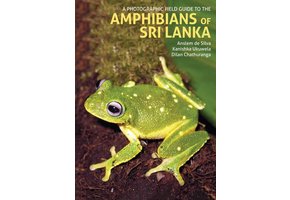 A Photographic Guide to the Amphibians of Sri Lanka