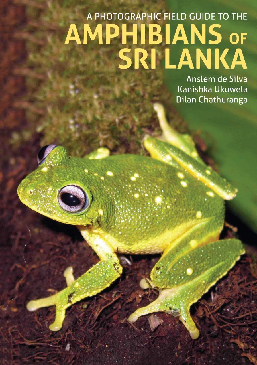 A Photographic Guide to the Amphibians of Sri Lanka