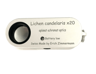 Lichen Candelaris Loep 20x19 met LED Verlichting