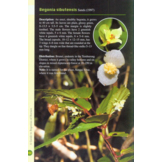 A Guide to Begonias of Borneo