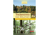 Trockenstress bei Bäumen