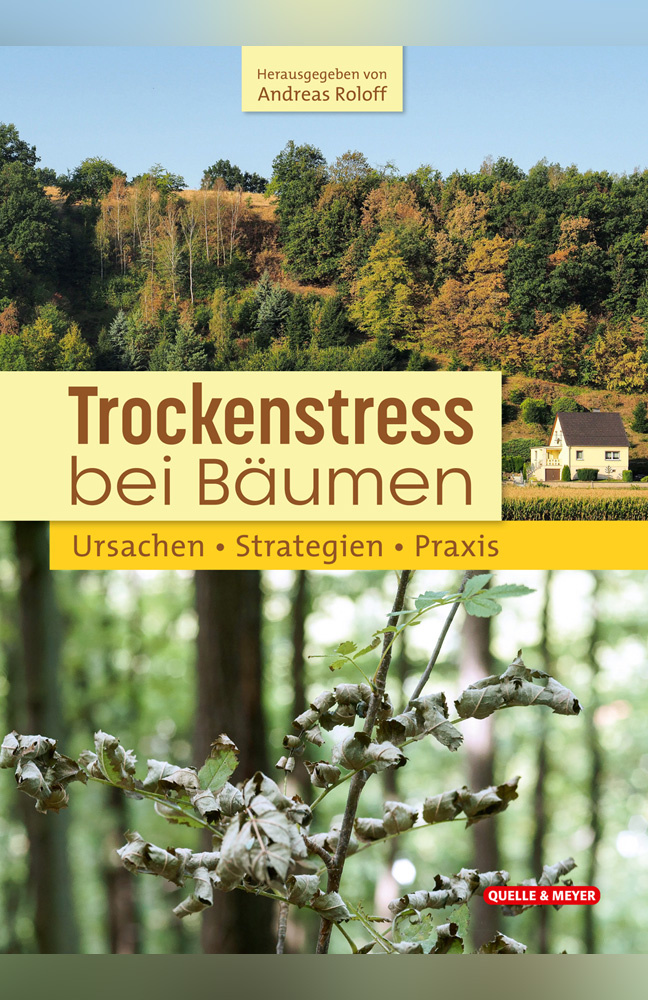 Trockenstress bei Bäumen - Ursachen - Strategien - Praxis