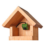 Green Feathers Handmade Wooden Bird Box