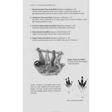 A Field Guide to the Mammals of Central America and Southeast Mexico