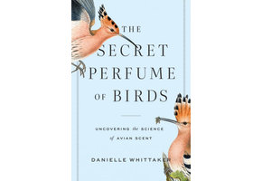 The Secret Perfume of Birds