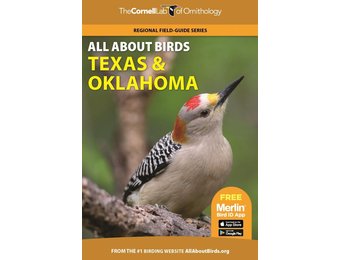 All About Birds Texas and Oklahoma
