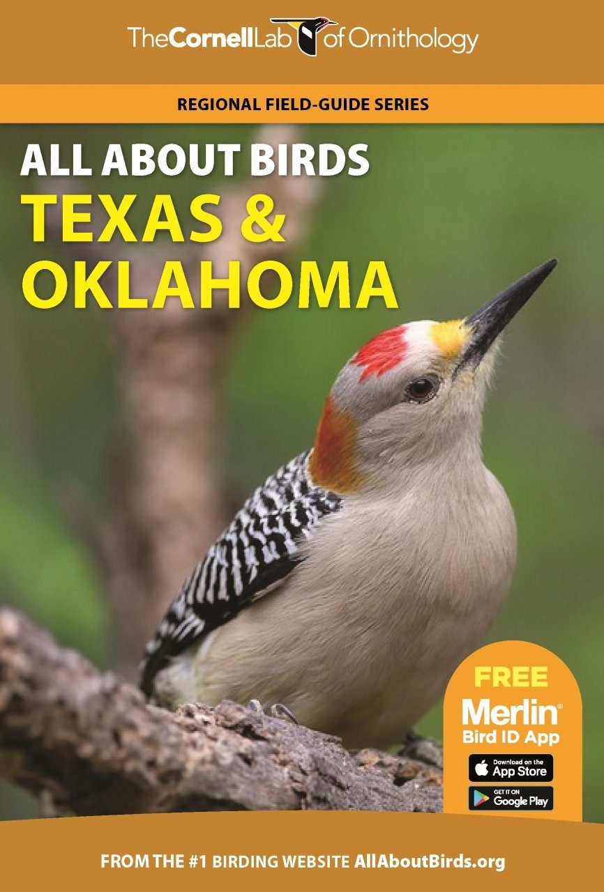 All About Birds Texas and Oklahoma