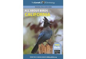 All About Birds California