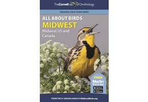 All About Birds Midwest