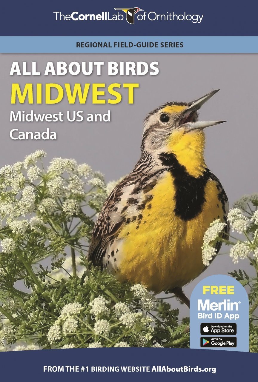 All About Birds Midwest - Midwest US and Canada
