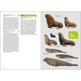 Birds and Mammals of the Galapagos