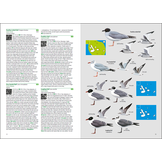 Birds and Mammals of the Galapagos