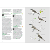 Birds and Mammals of the Galapagos
