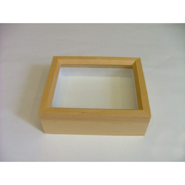 Houten insectendoos met glazen deksel 15 x 23 x 6 cm 