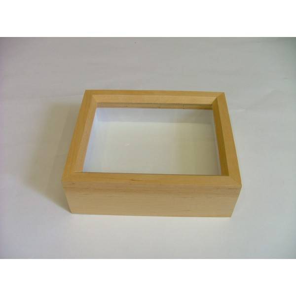 Wooden insect box with glass lid 23 x 30 x 6 cm