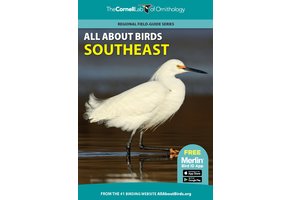 All About Birds Southeast