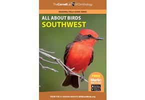 All About Birds Southwest