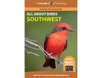 All About Birds Southwest