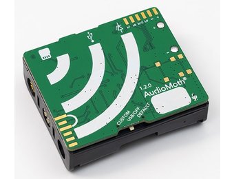 AudioMoth