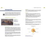 Fledermausschutz - Der Ratgeber für die Praxis