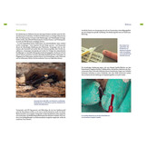 Fledermausschutz - Der Ratgeber für die Praxis